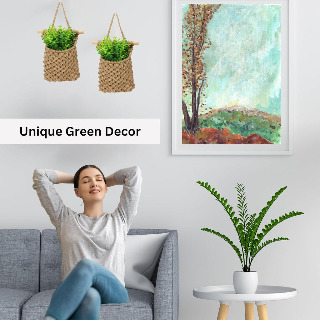Macrame Wall Hanging Plant Decor Set